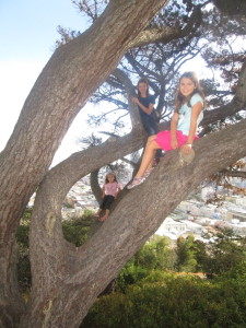 Tree climbing