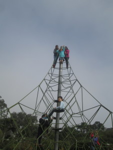 Climbing cell phone towers