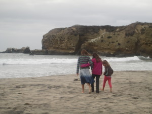 A little beach access before reaching the seal colony.