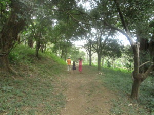 A walk through the hills behind La Mariposa