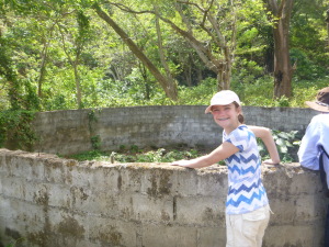 Inadequate crocodile enclosure