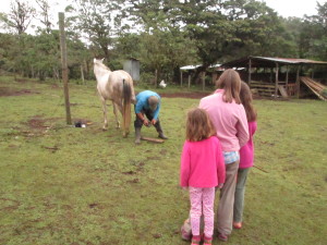 Morning entertainment was watching Marciel shoe a horse.  Like everything else, this was done the old-fashioned way, with a simple hammer and knife.