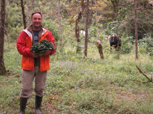 Bob gallantly helps harvest the bok choy.