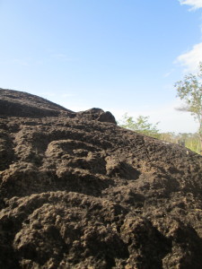 Petroglyph on the mountain