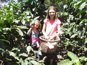 Zoe learned  she would get $3 for every basket full of beans she picked.  Also, sometimes there are snakes in the bushes.