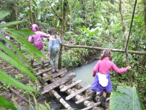 Making our way through the woods