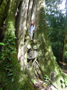 The outside of the tree was good for climbing, too.