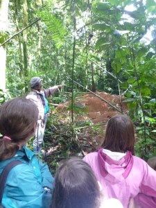 Katherina points to the huge ant hill.  The ants bring back leaf pieces to feed a huge fungus inside.  Then the young ants eat the fungus.