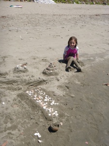 Really good sand and shells