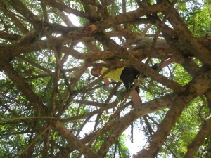 Practicing for the coconut trees