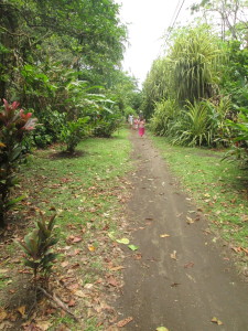 We walked quite a while on this trail, which was build a few years ago to allow turtle-watching tours to move around without disturbing the beach.