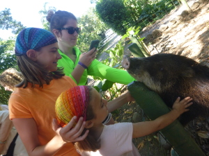 We were able to pet Perla.  Our guide said some Costa Ricans saw Americans on tv with potbellied pigs as pets and thought peccaries could be kept, too.