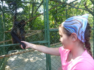 This spider monkey's former owner taught it to hold hands.