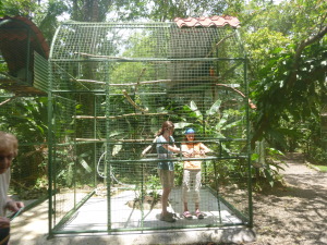 Feeding the Blue Macaw