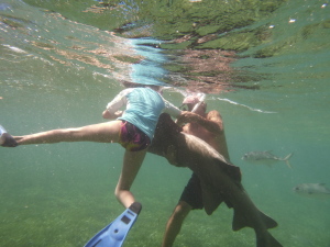 Nadia pets a nurse shark.