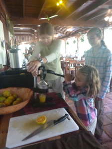 Squeezing oranges at a lodge breakfast