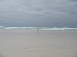 IMG_0092