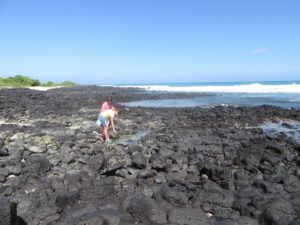 Hopefully looking for a whale on Playa Estacion