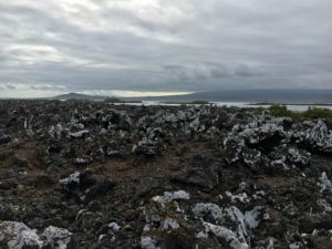 Tintoreras landscape